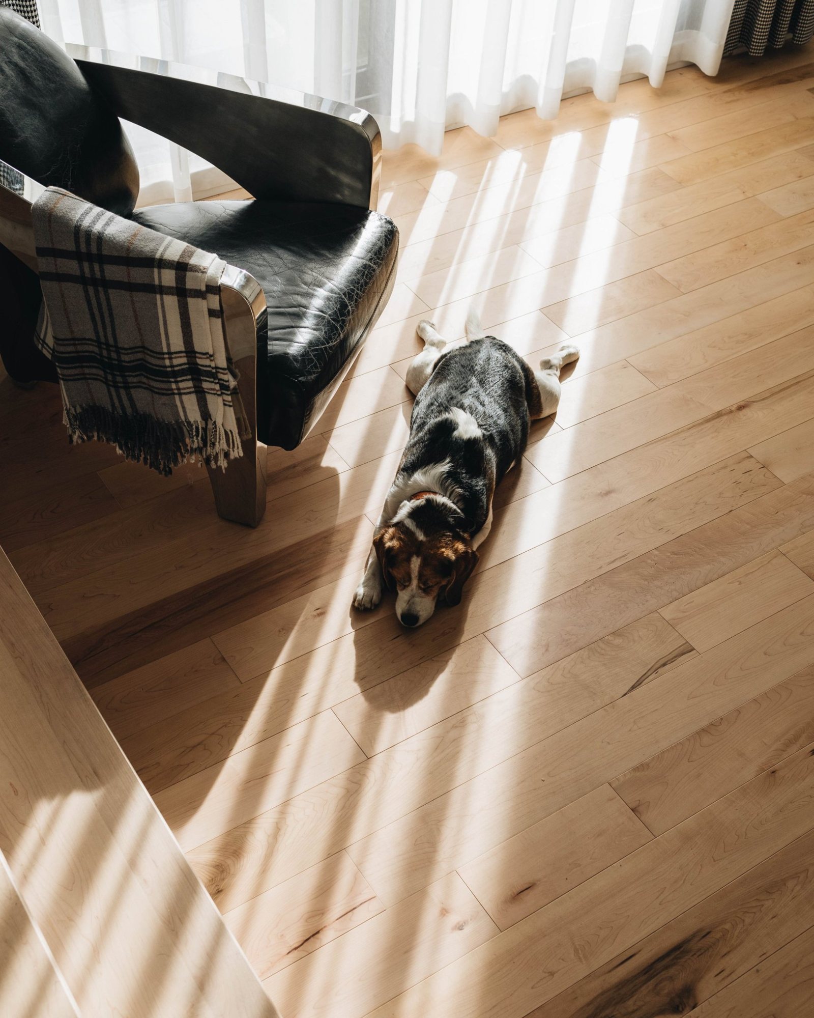 Fauteuil en cuir et lumière sur le plancher d'érable